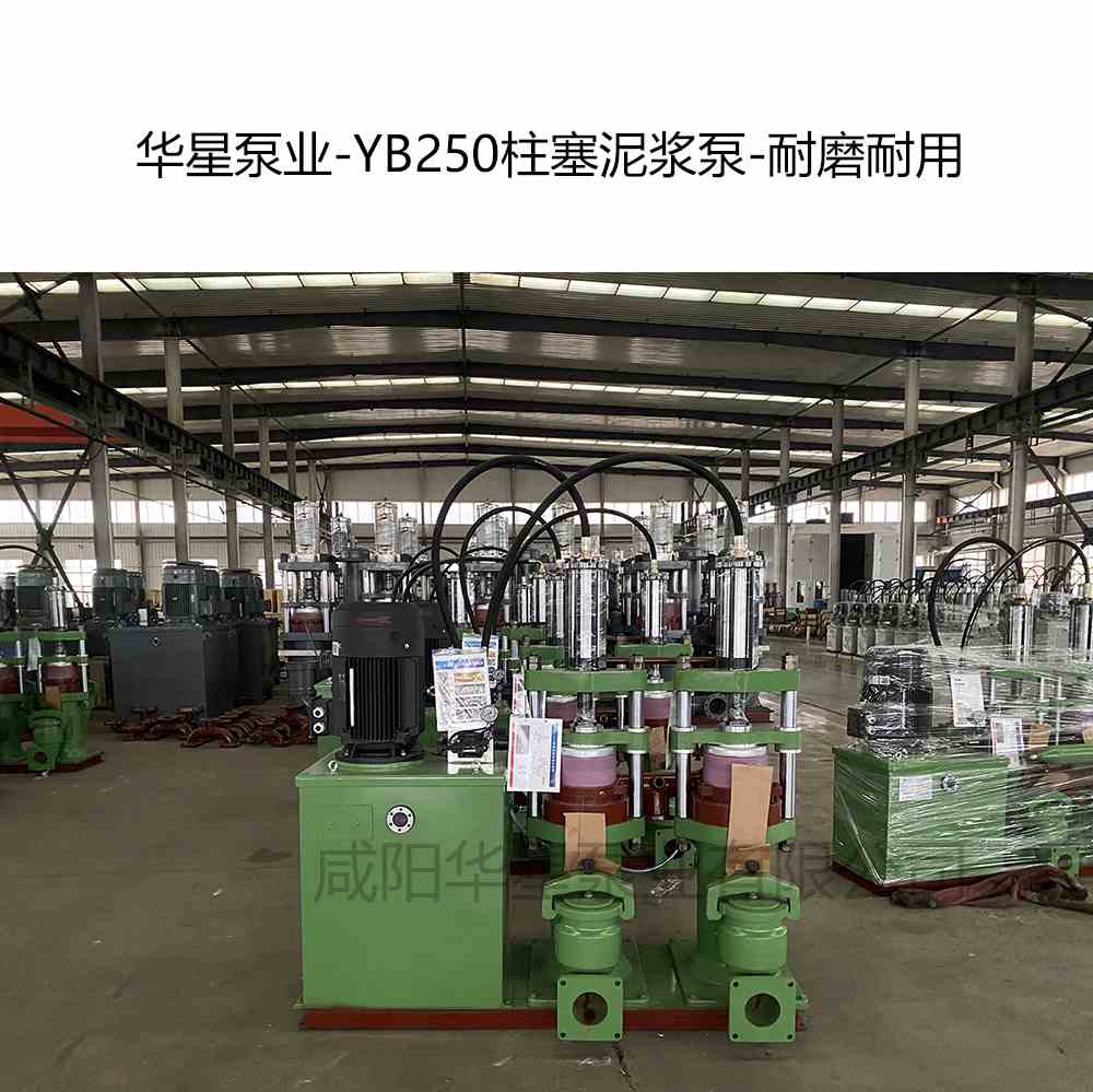 污水處理廠訂購(gòu)一臺(tái)YB250柱塞泥漿泵